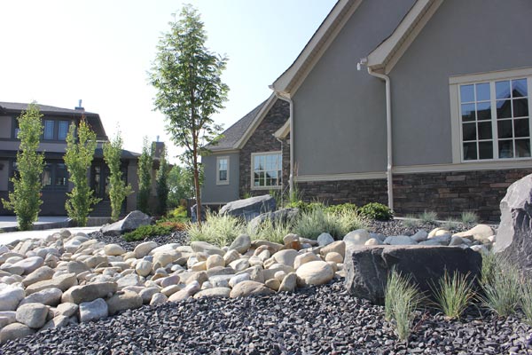native landscaping installations