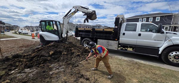 soil preparation and garden beds
